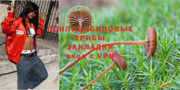 первитин Михайловка