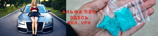 стаф Михайловск