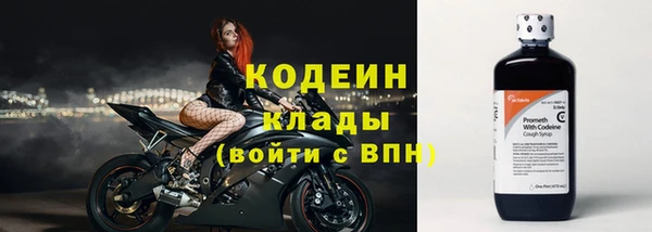 стаф Михайловск