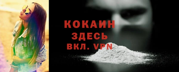 спиды Михайлов