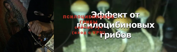 стаф Михайловск