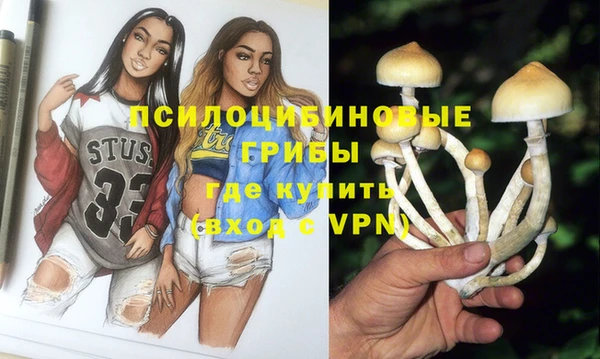 спиды Михайлов