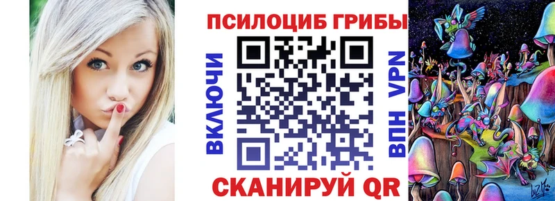 Псилоцибиновые грибы Psilocybe  shop состав  Барыш 